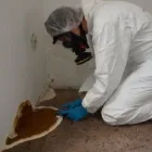 Przedsiębiorstwo 8 wizerunek TECHNOBUD Kategoria w Warszawa MZ