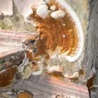 Przedsiębiorstwo 19 wizerunek TECHNOBUD Kategoria w Warszawa MZ