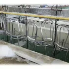 Przedsiębiorstwo 8 wizerunek TIGER CHROM CHROMOWANIE Kategoria w Kraków MA