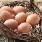 Przedsiębiorstwo 4 wizerunek TOCZYGROSZEK Zdrowa Żywność w Pruszcz Gdański PM