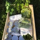 Przedsiębiorstwo 5 wizerunek TOCZYGROSZEK Zdrowa Żywność w Pruszcz Gdański PM