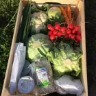 Przedsiębiorstwo 6 wizerunek TOCZYGROSZEK Zdrowa Żywność w Pruszcz Gdański PM