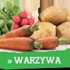 Przedsiębiorstwo 8 wizerunek TOCZYGROSZEK Zdrowa Żywność w Pruszcz Gdański PM