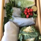 Przedsiębiorstwo 9 wizerunek TOCZYGROSZEK Zdrowa Żywność w Pruszcz Gdański PM