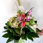 Przedsiębiorstwo 8 wizerunek TOPFLORIST STUDIO FLORYSTYCZNO - DEKORATORSKIE Ślubne Usługi w Lublin LU