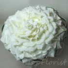 Przedsiębiorstwo 15 wizerunek TOPFLORIST STUDIO FLORYSTYCZNO - DEKORATORSKIE Ślubne Usługi w Lublin LU