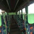 Przedsiębiorstwo 3 wizerunek TRANS-BUS - BUSY I AUTOKARY - PRZEWOZY AUTOKAROWE - WYNAJEM BUSÓW I AUTOKARÓW Transport Osobowy w Gliwice SL