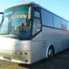 Przedsiębiorstwo 17 wizerunek TRANS-BUS - BUSY I AUTOKARY - PRZEWOZY AUTOKAROWE - WYNAJEM BUSÓW I AUTOKARÓW Transport Osobowy w Gliwice SL