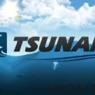 Przedsiębiorstwo 1 wizerunek TSUNAMI INTERNET Telefony Komórkowe - Sprzedaż w Łomża PD