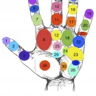 Przedsiębiorstwo 5 wizerunek UZDROWICIEL REFLEKSOLOG MARIUSZ BRYK Ziołolecznictwo w Opole OP