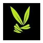 Przedsiębiorstwo 1 wizerunek VAPSTER ADAM MUCHA Kategoria w Poznań WP