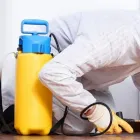 Przedsiębiorstwo 3 wizerunek VERMIN - ZWALCZANIE SZKODNIKÓW DREWNA, USŁUGI DDD Kategoria w Łódź LD