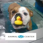 Przedsiębiorstwo 1 wizerunek WETERYNARZ ANIMAL CENTER KLINIKA WETERYNARYJNA Weterynaria - Usługi w Warszawa MZ