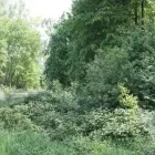 Przedsiębiorstwo 1 wizerunek WIŚNIEWSKI PAWEŁ RZECZOZNAWCA MAJĄTKOWY w Sosnowiec SL