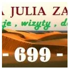Przedsiębiorstwo 4 wizerunek WRÓZKA JULIA Wróżbici, Astrolodzy w Łódź LD