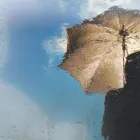 Przedsiębiorstwo 1 wizerunek WSPARCIE TERAPIA PSYCHIATRYCZNA I PSYCHOLOGICZNA Lekarze - Rodzinni w Łódź LD