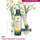 Przedsiębiorstwo 2 wizerunek YVES ROCHER GALERIA KAZIMIERZ w Kraków MA