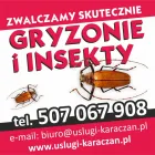 Przedsiębiorstwo 1 wizerunek ZAKŁAD DEZYNSEKCJI DERATYZACJI KARACZAN Środki Ochrony Roślin w Rzeszów PK