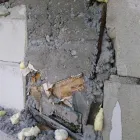 Przedsiębiorstwo 6 wizerunek ZAKŁAD OGÓLNOBUDOWLANY. ZBIGNIEW PAŁKA Kategoria w Kraków MA