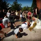 Przedsiębiorstwo 3 wizerunek ZIARNO I PIKSELE Kategoria w Tychy SL