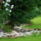 Przedsiębiorstwo 2 wizerunek ZIELONA SFERA KRZYSZTOF KONDRACKI Ogrody, Tereny Zieleni - Projektowanie, Utrzymanie w Wrocław DS