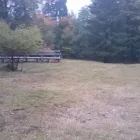 Przedsiębiorstwo 5 wizerunek ZIELONA SFERA KRZYSZTOF KONDRACKI Ogrody, Tereny Zieleni - Projektowanie, Utrzymanie w Wrocław DS