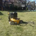 Przedsiębiorstwo 8 wizerunek ZIELONA SFERA KRZYSZTOF KONDRACKI Ogrody, Tereny Zieleni - Projektowanie, Utrzymanie w Wrocław DS