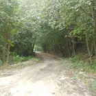 Przedsiębiorstwo 9 wizerunek ZIELONA SFERA KRZYSZTOF KONDRACKI Ogrody, Tereny Zieleni - Projektowanie, Utrzymanie w Wrocław DS