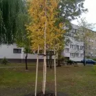 Przedsiębiorstwo 11 wizerunek ZIELONA SFERA KRZYSZTOF KONDRACKI Ogrody, Tereny Zieleni - Projektowanie, Utrzymanie w Wrocław DS