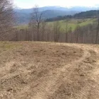 Przedsiębiorstwo 12 wizerunek ZIELONA SFERA KRZYSZTOF KONDRACKI Ogrody, Tereny Zieleni - Projektowanie, Utrzymanie w Wrocław DS