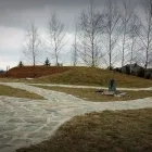 Przedsiębiorstwo 17 wizerunek ZIELONA SFERA KRZYSZTOF KONDRACKI Ogrody, Tereny Zieleni - Projektowanie, Utrzymanie w Wrocław DS