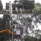 Przedsiębiorstwo 18 wizerunek ZIELONA SFERA KRZYSZTOF KONDRACKI Ogrody, Tereny Zieleni - Projektowanie, Utrzymanie w Wrocław DS