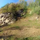 Przedsiębiorstwo 20 wizerunek ZIELONA SFERA KRZYSZTOF KONDRACKI Ogrody, Tereny Zieleni - Projektowanie, Utrzymanie w Wrocław DS