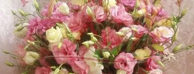 Przedsiębiorstwo 4 wizerunek AA KWIACIARNIA INTERNETOWA IZA Kwiaciarnie w Gliwice SL