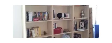 Przedsiębiorstwo 30 wizerunek ARS MEBLE Meble - Produkcja, Sprzedaż w Kielce SK