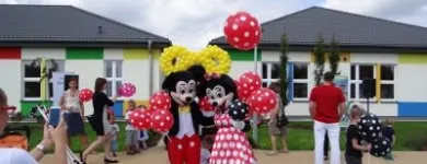 Przedsiębiorstwo 18 wizerunek BALOMANIA Świąteczne Artykuły, Dekoracje w Wrocław DS