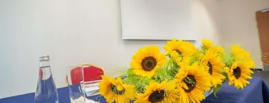 Przedsiębiorstwo 10 wizerunek BEST WESTERN EFEKT EXPRESS KRAKOW HOTEL Kategoria w Kraków MA