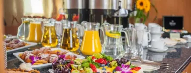 Przedsiębiorstwo 14 wizerunek BEST WESTERN EFEKT EXPRESS KRAKOW HOTEL Kategoria w Kraków MA