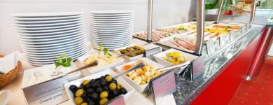 Przedsiębiorstwo 24 wizerunek BEST WESTERN EFEKT EXPRESS KRAKOW HOTEL Kategoria w Kraków MA