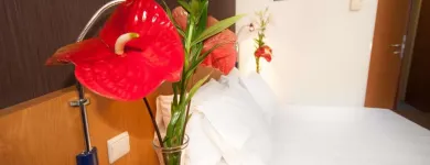 Przedsiębiorstwo 34 wizerunek BEST WESTERN EFEKT EXPRESS KRAKOW HOTEL Kategoria w Kraków MA