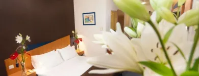 Przedsiębiorstwo 40 wizerunek BEST WESTERN EFEKT EXPRESS KRAKOW HOTEL Kategoria w Kraków MA