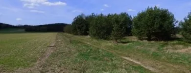 Przedsiębiorstwo 6 wizerunek BIURO NIERUCHOMOŚCI BON Nieruchomości - Kupno, Sprzedaż, Wynajem w Piotrków Trybunalski LD