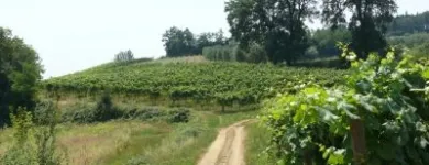 Przedsiębiorstwo 1 wizerunek DOBREWINA.PL TYCHY, UL DARWINA 15 Spożywcze Artykuły - Produkcja, Hurt w Tychy SL