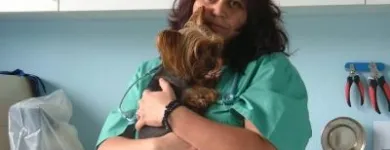 Przedsiębiorstwo 3 wizerunek DORAVET S.C. LECZNICA WETERYNARYJNA I SALON PSIEJ URODY Weterynaria - Usługi w Warszawa MZ