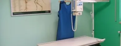 Przedsiębiorstwo 9 wizerunek DORAVET S.C. LECZNICA WETERYNARYJNA I SALON PSIEJ URODY Weterynaria - Usługi w Warszawa MZ