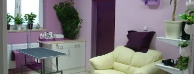 Przedsiębiorstwo 13 wizerunek DORAVET S.C. LECZNICA WETERYNARYJNA I SALON PSIEJ URODY Weterynaria - Usługi w Warszawa MZ