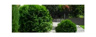 Przedsiębiorstwo 8 wizerunek GARDEN & PLEASURE PRACOWNIA SZTUKI OGRODOWEJ Ogrody, Tereny Zieleni - Projektowanie, Utrzymanie w Warszawa MZ