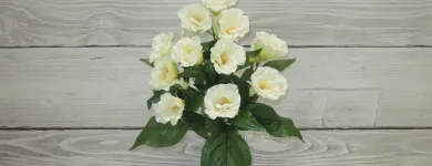 Przedsiębiorstwo 7 wizerunek GOLDEN KROKUS Rośliny Sztuczne w Warszawa MZ