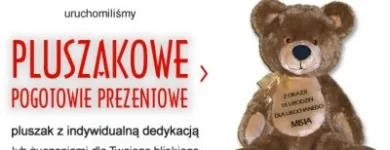 Przedsiębiorstwo 1 wizerunek GONZO S.C. ZPHU Zabawki - Produkcja, Hurt w Łódź LD