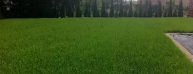 Przedsiębiorstwo 1 wizerunek GREEN&SNOW Ogrody, Tereny Zieleni - Projektowanie, Utrzymanie w Wrocław DS